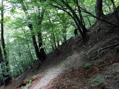 2021.7.24-25 真ノ沢(沢登り)