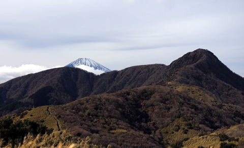 2025.1.5　金時山（尾根歩き）