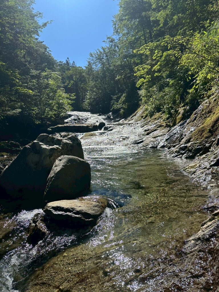 2025.8.14〜17　八幡平・葛根田川（沢登り）～八瀬森～大深沢（沢登り）（沢登り）