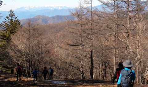 2024.2.3 滝子山(尾根歩き)