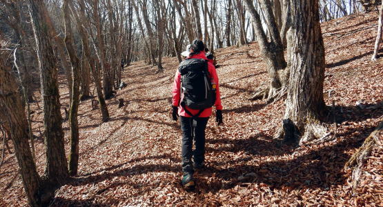 2024.2.3 滝子山(尾根歩き)