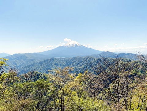 2024.5.4　菰釣山（尾根歩き）