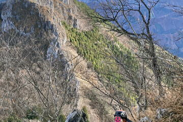 2024.12.7　二子山（尾根歩き）