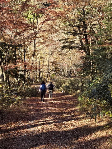 2025.11.23　毛無山（尾根歩き・ハイキング）