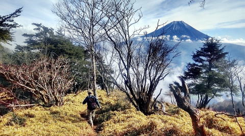 2025.11.23　毛無山（尾根歩き・ハイキング）
