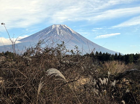 2025.11.23　毛無山（尾根歩き・ハイキング）
