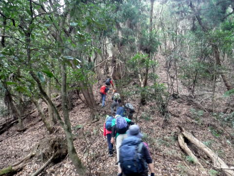 2023.1.14 扇山(尾根歩き)