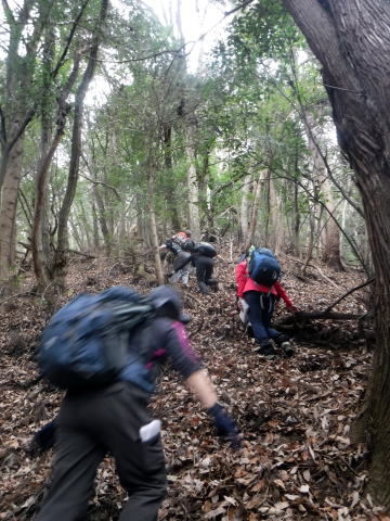 2023.1.14 扇山(尾根歩き)