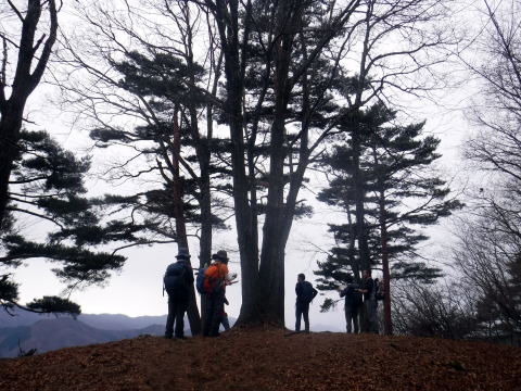 2023.1.14 扇山(尾根歩き)