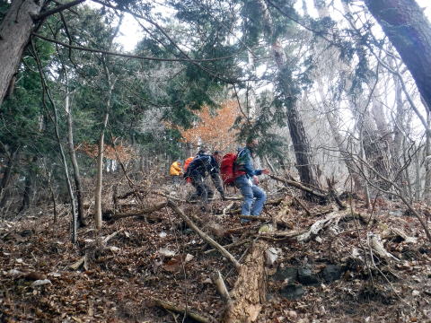 2023.1.14 扇山(尾根歩き)