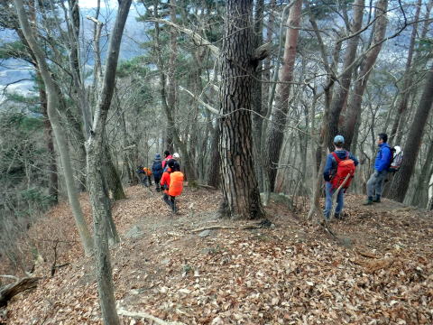 2023.1.14 扇山(尾根歩き)