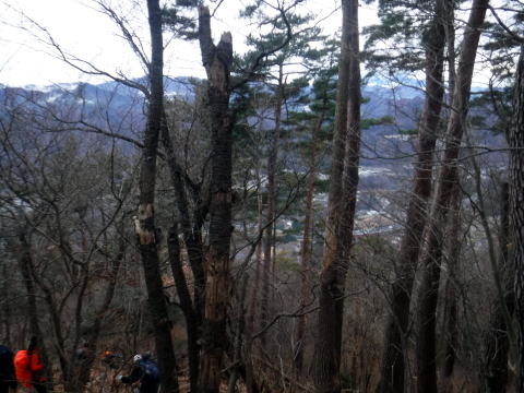 2023.1.14 扇山(尾根歩き)