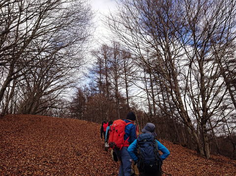 2023.1.22 沖ノ指山（尾根歩き）