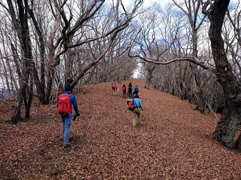 2023.1.22 沖ノ指山（尾根歩き）