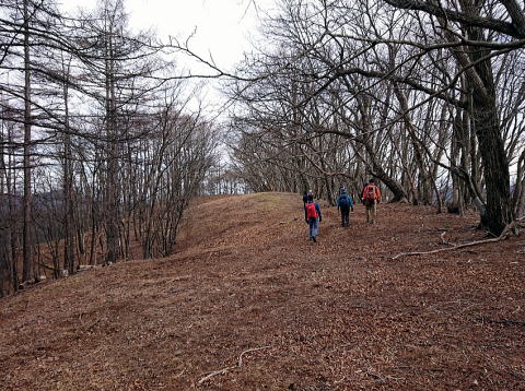 2023.1.22 沖ノ指山（尾根歩き）
