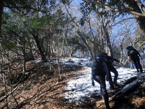 2023.1.28 矢倉岳(ハイキング)