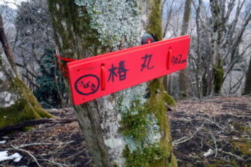 2023.2.12 椿丸•菰釣山（尾根歩き）