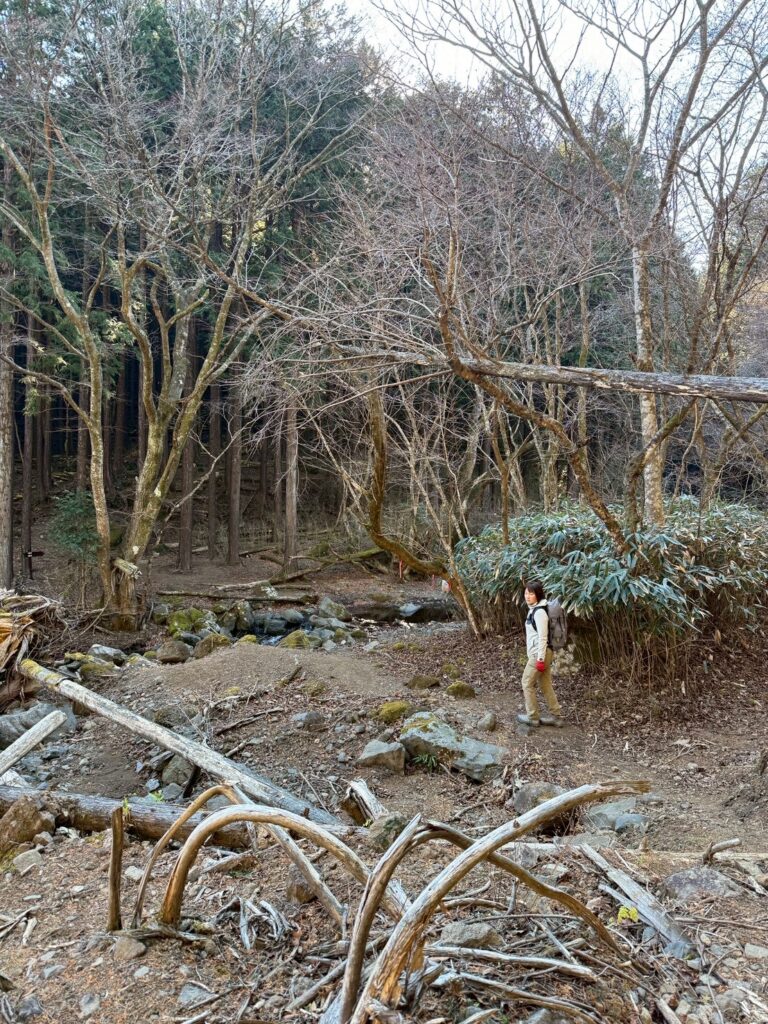 2026.1.4 箱根・金時山(尾根歩き)