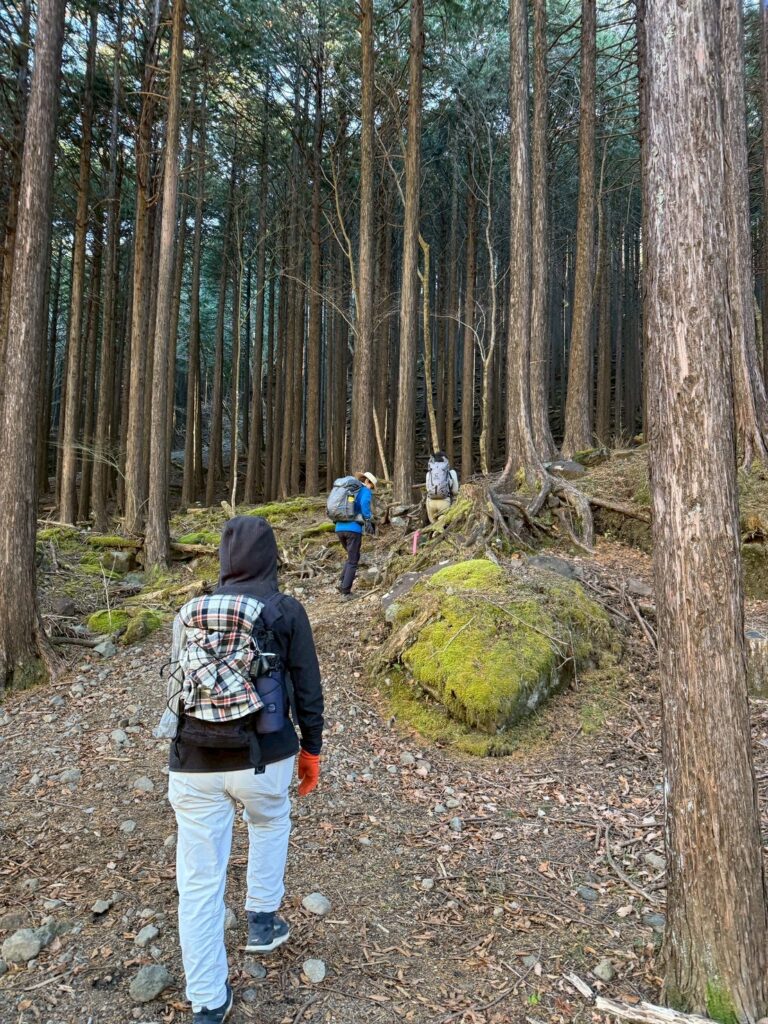 2026.1.4 箱根・金時山(尾根歩き)
