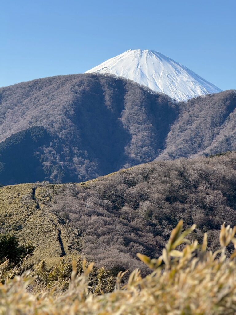 2026.1.4 箱根・金時山(尾根歩き)