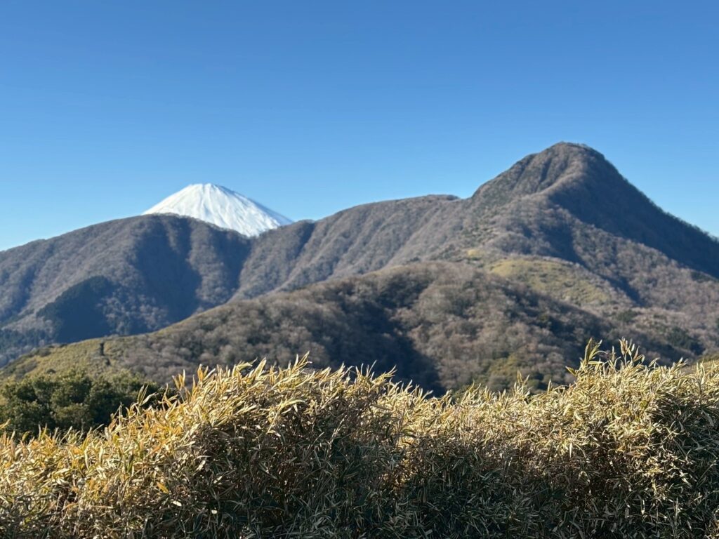 2026.1.4 箱根・金時山(尾根歩き)