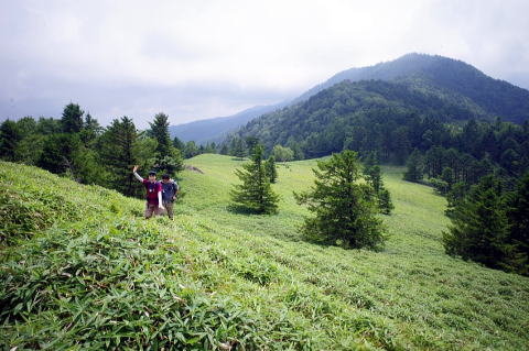 2024.8.4　牛奥ノ雁ヶ腹摺山（尾根歩き）