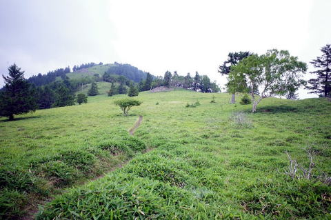2024.8.4　牛奥ノ雁ヶ腹摺山（尾根歩き）