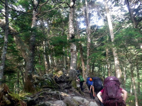 2024.9.15-16 北岳(尾根歩き)