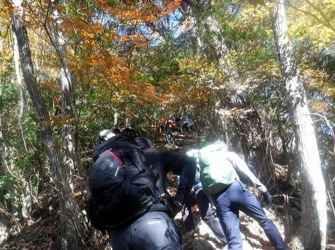 2024.11.24 滝子山(尾根歩き)