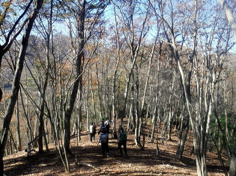 2024.11.24 滝子山(尾根歩き)