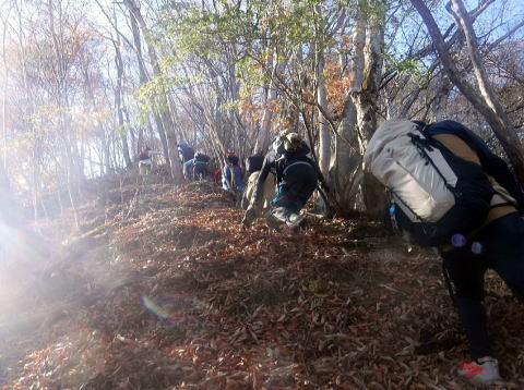 2024.11.24 滝子山(尾根歩き)