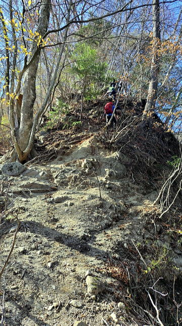 2024.11.24 滝子山(尾根歩き)