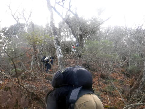 2024.11.24 滝子山(尾根歩き)