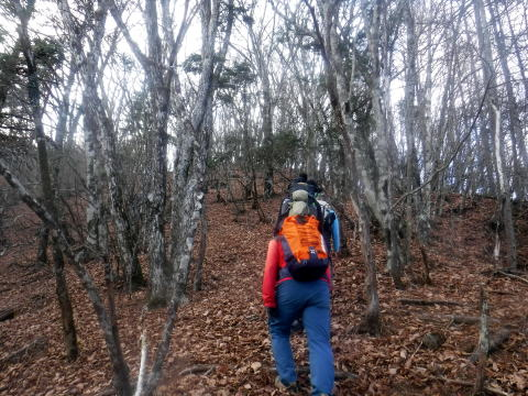 2024.11.24 滝子山(尾根歩き)