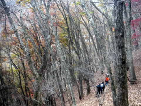 2024.11.24 滝子山(尾根歩き)
