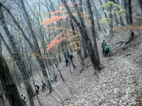 2024.11.24 滝子山(尾根歩き)