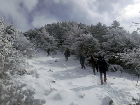 2024.12.8　黒斑山（尾根歩き）