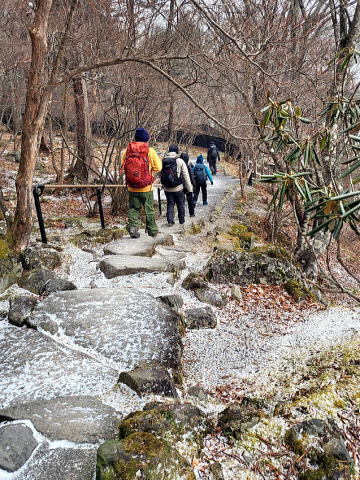 2024.12.22 社山(尾根歩き)