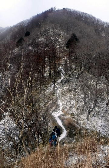 2024.12.22 社山(尾根歩き)