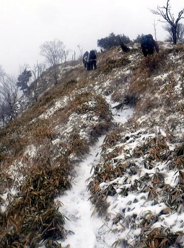2024.12.22 社山(尾根歩き)