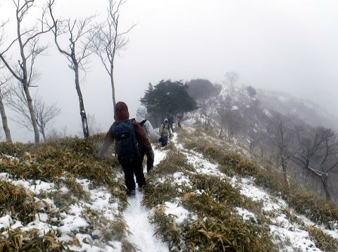 2024.12.22 社山(尾根歩き)