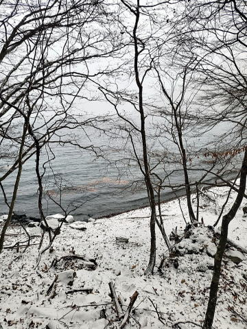 2024.12.22 社山(尾根歩き)