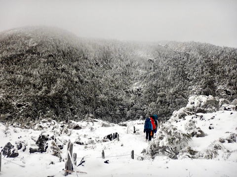 2020.1.3-4　北八ツ・北横岳～雨池山～縞枯山～渋ノ湯（雪山）