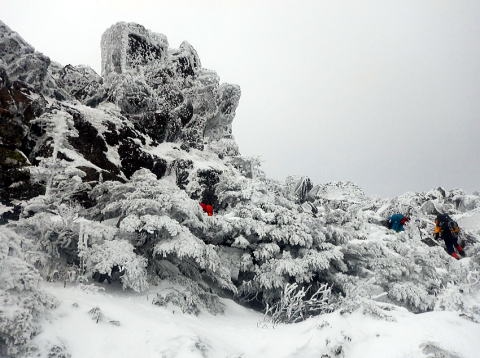2020.1.3-4　北八ツ・北横岳～雨池山～縞枯山～渋ノ湯（雪山）
