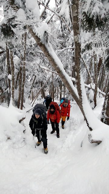 2020.1.3-4　北八ツ・北横岳～雨池山～縞枯山～渋ノ湯（雪山）
