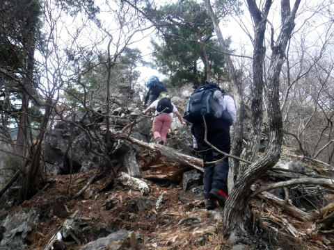 2024.4.7　雲母山（尾根歩き）
