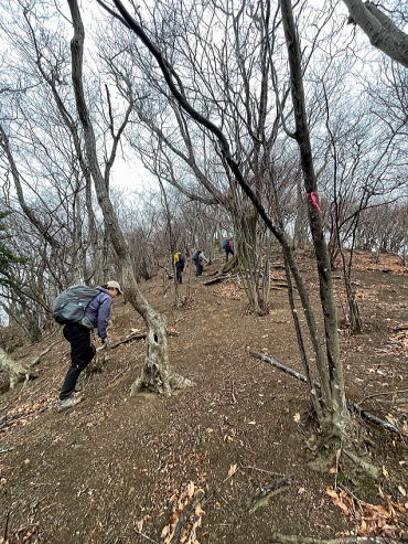 2024.1.20 仏果山(尾根歩き)