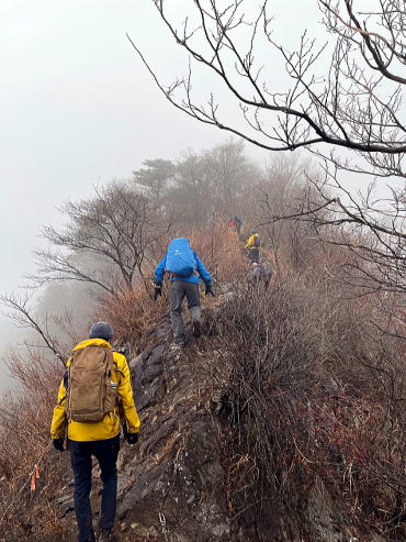 2024.1.20 仏果山(尾根歩き)