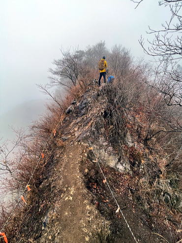 2024.1.20 仏果山(尾根歩き)