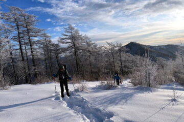 2024.2.11-12　鷹ノ巣山（尾根歩き）